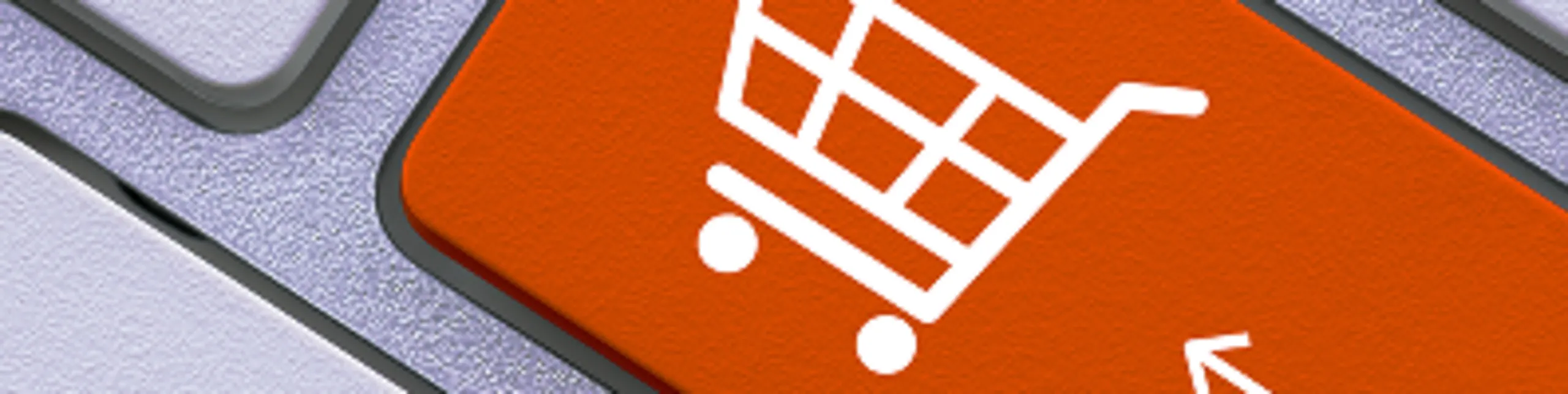 CMS, Webshop and PIM for Swiss SMEs: How swisspim AG Connects Your Digital Infrastructure